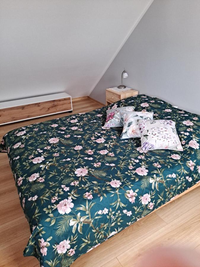 Jelonek Apartment Jelenia Gora Ngoại thất bức ảnh